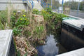 Bob Braine Pet-Estuary Freie Flusszone Suederelbe DSC08758 72 555.jpg