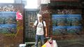 Freie Flusszone Suederelbe free river zone Friederike Richter Stefan Hauer Till Krause Elbkulturfonds 20140930 174615b 72 400.jpg