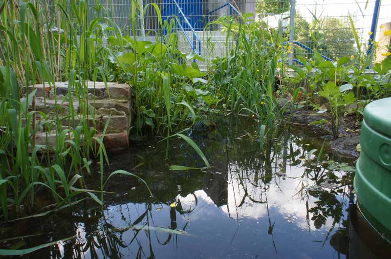 File:Bob Braine Pet Estuary DSC07951 72 1000.jpg