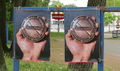 David Brooks Free-River-Zone IMG 2104 600.jpg