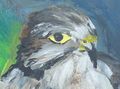 Thumbnail for version as of 08:50, 24 August 2014