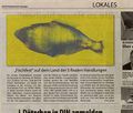 Land fuer 5 finale Handlungen Prozession der Fische Niederrhein Anzeiger 2014 10 22 700.jpg