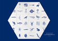Mark Dion billboard Hexagon Free-River-Zone GFLK 850.jpg