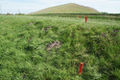 Thumbnail for version as of 18:39, 20 October 2013