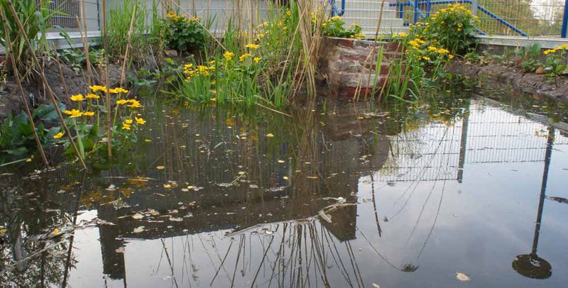 File:Bob Braine Pet Estuary DSC00222-b 72 1000.jpg