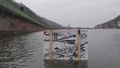 3 Florian-Huettner Bilderkiste-Suederelbe Neckar still 2016 1100.jpg