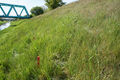 Thumbnail for version as of 07:07, 21 October 2013