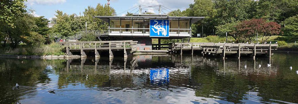 Freie-Flusszone Planten un Blomen Wallanlagen 20180913 16 1500.jpg