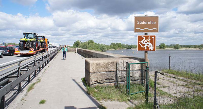 File:Bob Braine Freie-Flusszone Suederelbe DSC00214 935.jpg