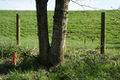 Thumbnail for version as of 07:09, 21 October 2013