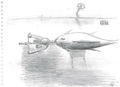 Thumbnail for version as of 10:57, 3 August 2014