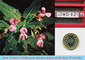 A Joerg v Prondzinski Postkarte Freie Flusszone A6 150.jpg