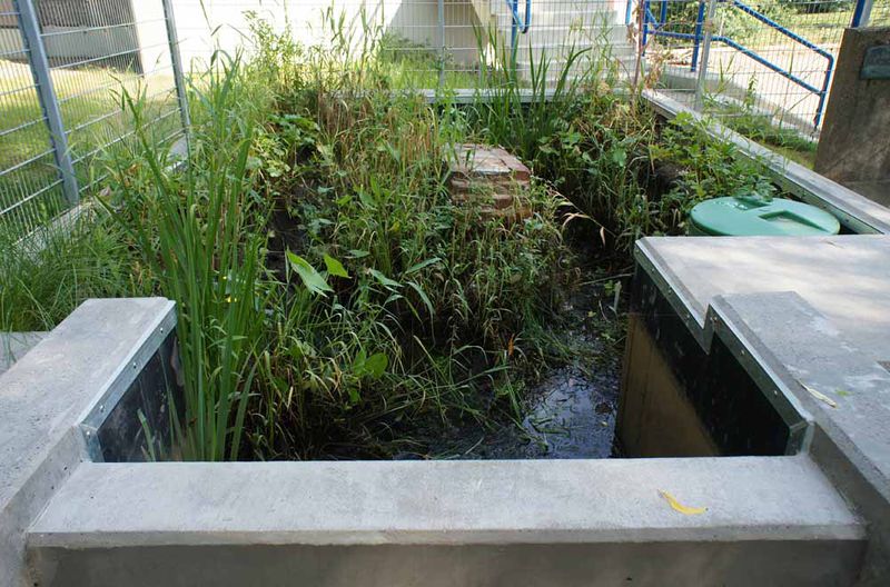 File:Bob Braine Pet Estuary DSC09951-b 72 1000.jpg
