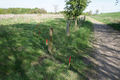 Thumbnail for version as of 18:26, 20 October 2013