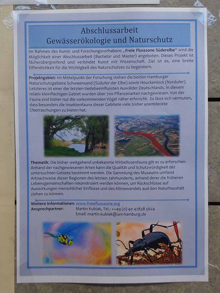 File:Martin Kubiak CeNak Centrum fuer Naturkunde Freie-Flusszone DSC05692-950.jpg