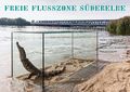 Plakat Nana-Petzet freie Flusszone Suederelbe 72 900.jpg