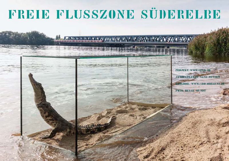 File:Plakat Nana-Petzet freie Flusszone Suederelbe 72 900.jpg