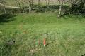 Thumbnail for version as of 18:43, 20 October 2013