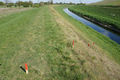 Land fuer 5 finale Handlungen DSC09958-b 72 250.jpg