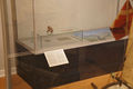 Altonaer Museum Freie-Flusszone IMG 8515-Kamera DSC02432 480.jpg