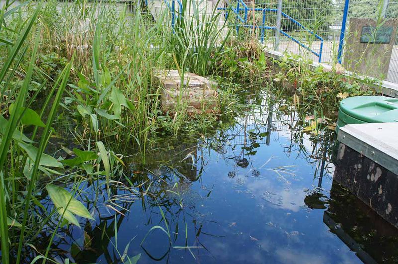 File:Bob Braine Pet Estuary DSC01566 72 1000.jpg