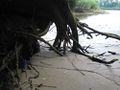 Thumbnail for version as of 13:20, 1 October 2012