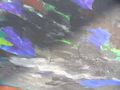 Thumbnail for version as of 09:04, 24 August 2014