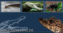 Crocodilians.de logo 72 220.jpg